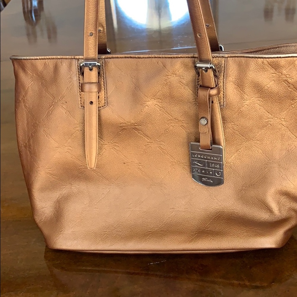 Bronze leather Longchamp purse